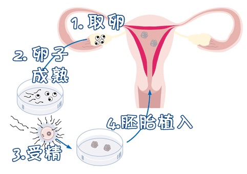 医疗环境